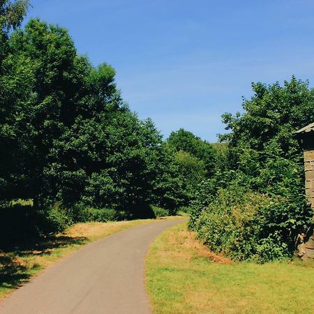 Апартаменты Taff Trail Bunkhouse Мертир-Тидвилл Экстерьер фото